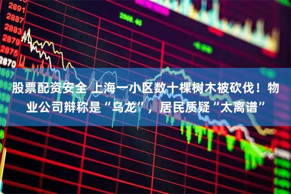 股票配资安全 上海一小区数十棵树木被砍伐！物业公司辩称是“乌龙”，居民质疑“太离谱”