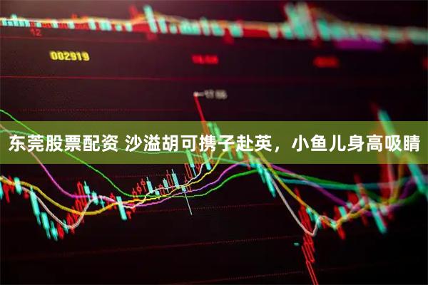 东莞股票配资 沙溢胡可携子赴英，小鱼儿身高吸睛